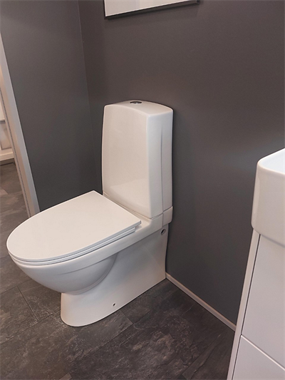 Laufen Pro N toilet med p-lås rimless, back to wall, lcc