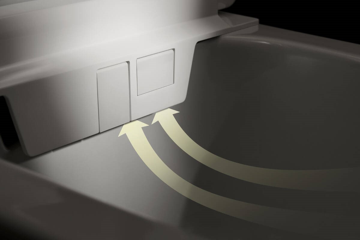 hansgrohe LavaPura Element S Væghængt douchetoilet