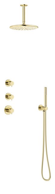 Damixa Silhouet XS 2 brusesystem med brusehoved til loftudtag i poleret messing pvd 