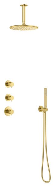 Damixa Silhouet XS 2 brusesystem med brusehoved til loftudtag i børstet messing pvd 